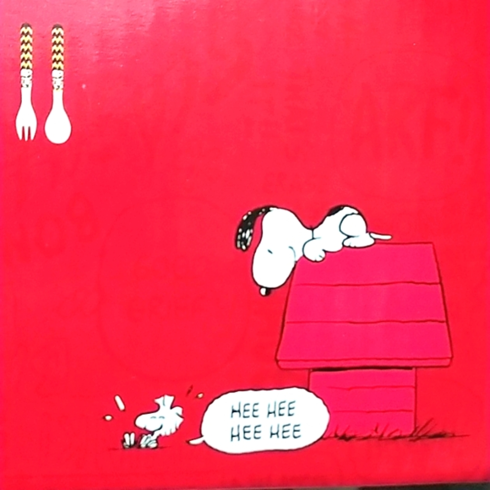 Peanuts 5pc Bamboo Fiber Dinnerware Set - Picture 4 of 4